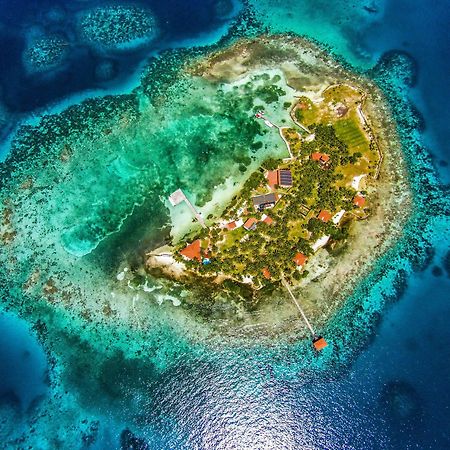Hatchet Caye Island Resort (Adults Only) Placencia Bagian luar foto