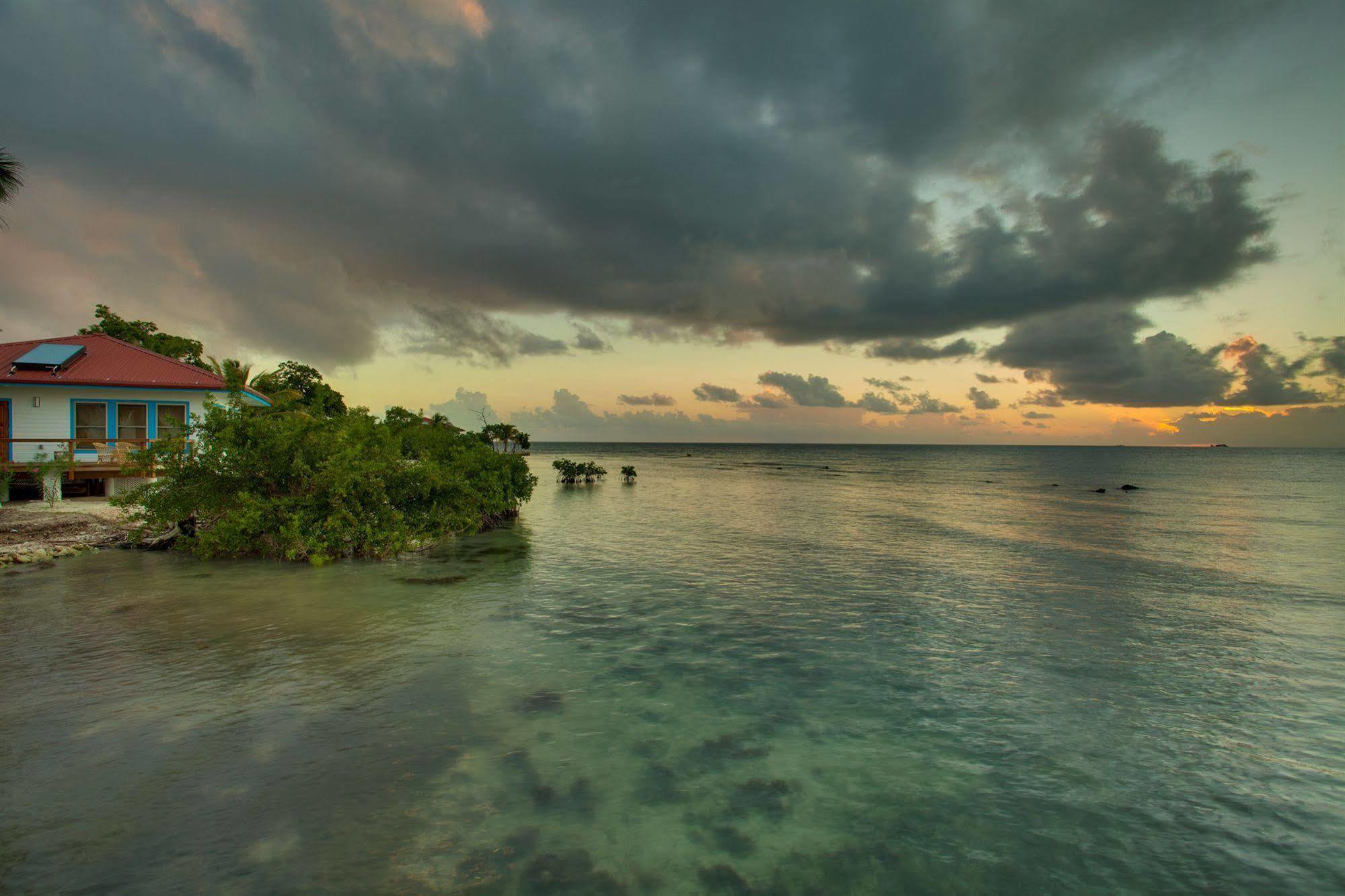 Hatchet Caye Island Resort (Adults Only) Placencia Bagian luar foto